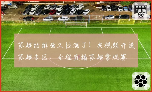 苏超的排面又拉满了！央视频开设苏超专区，全程直播苏超常规赛