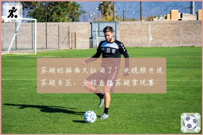 苏超的排面又拉满了！央视频开设苏超专区，全程直播苏超常规赛
