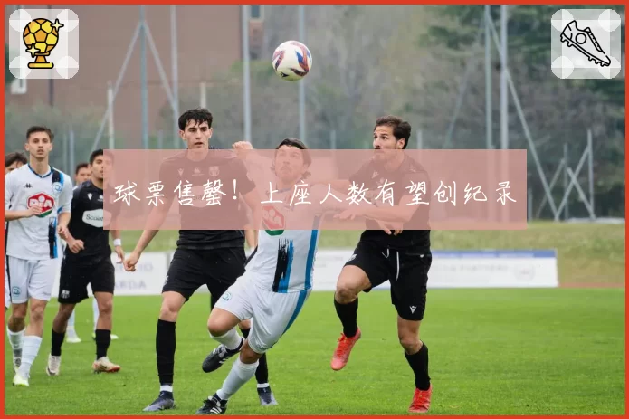 球票售罄！上座人数有望创纪录