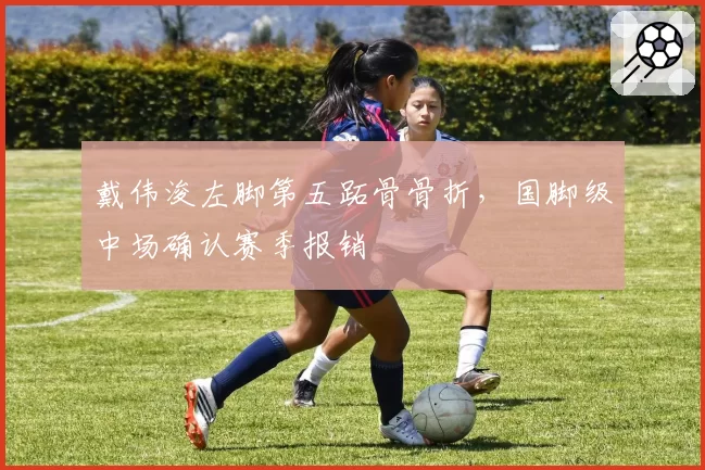 戴伟浚左脚第五跖骨骨折，国脚级中场确认赛季报销