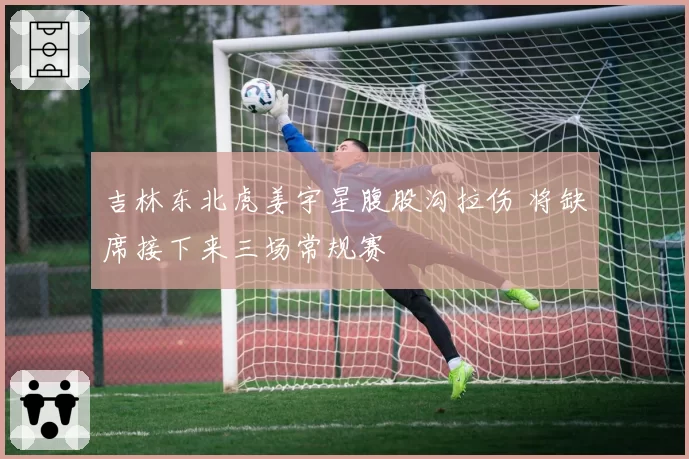 吉林东北虎姜宇星腹股沟拉伤 将缺席接下来三场常规赛