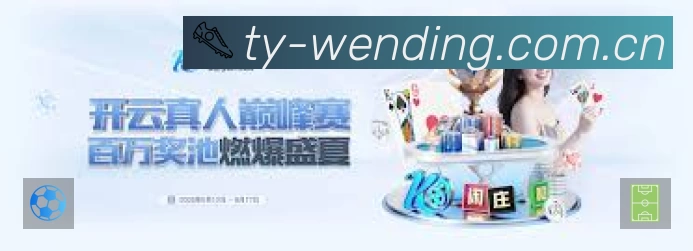 问鼎pg体育站内搜索增强